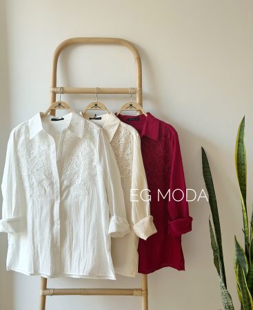 CAMISA con aplique bordado